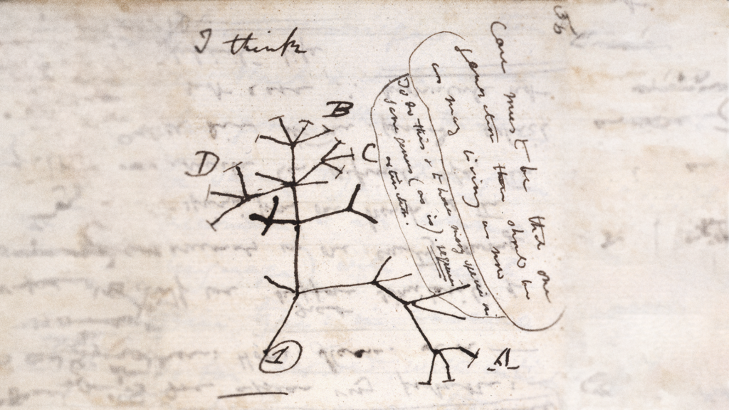 I popoli esistono davvero? - L'albero della vita appuntato da Charles Darwin.