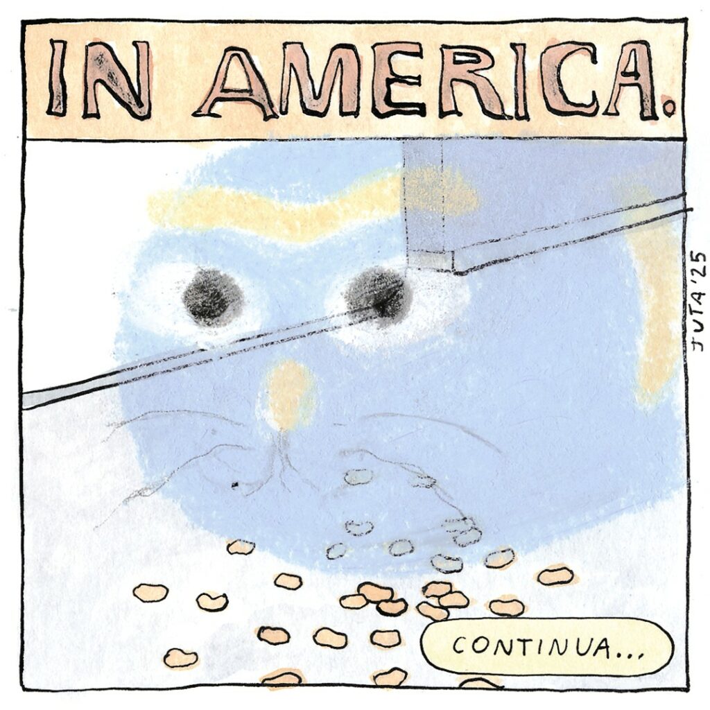 Gatto Pernucci in America