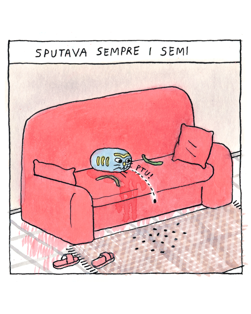 Au revoir, Gatto Pernucci
