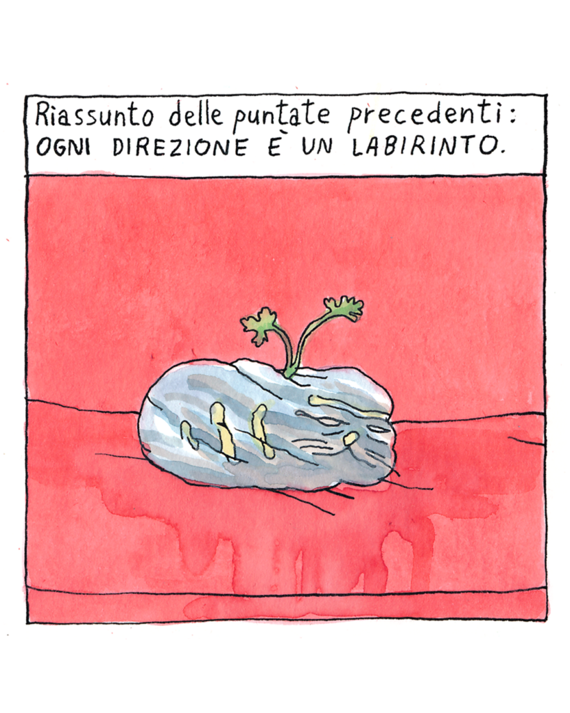 Au revoir, Gatto Pernucci