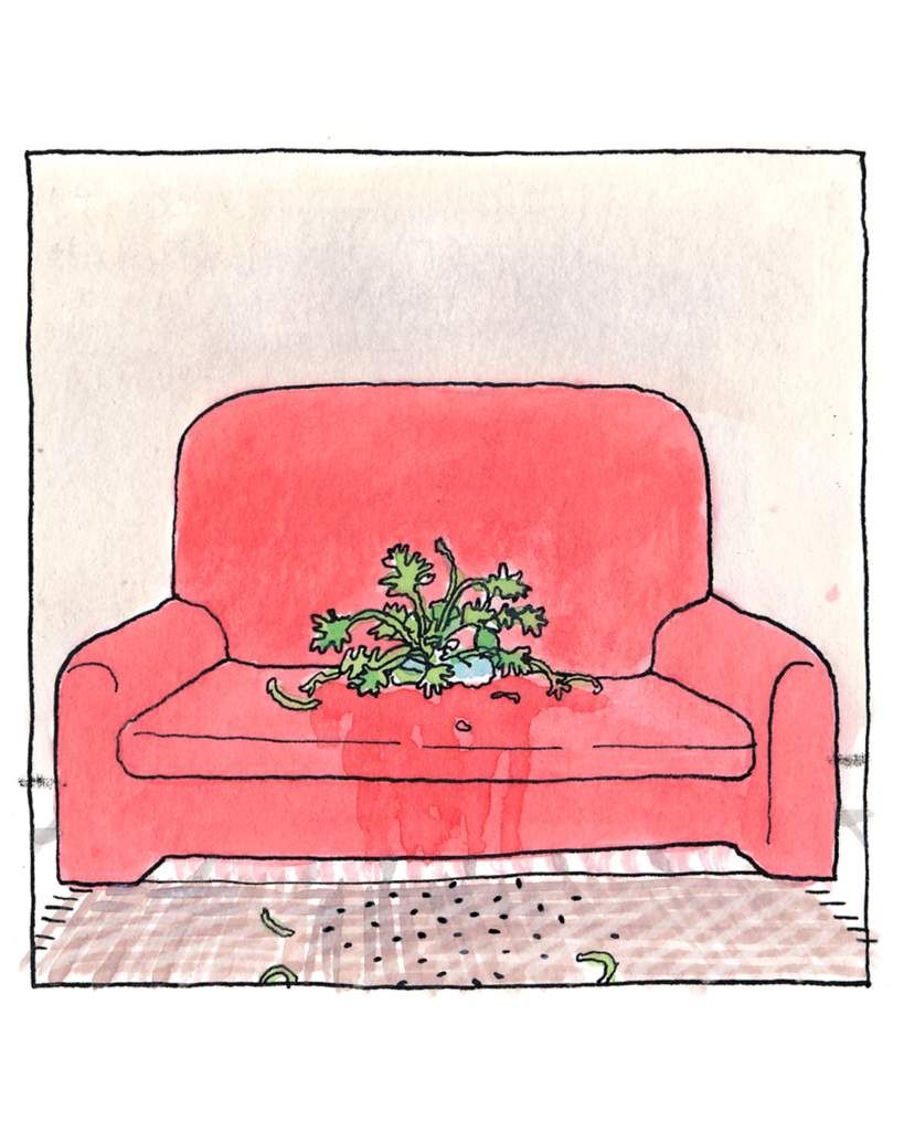 Au revoir, Gatto Pernucci