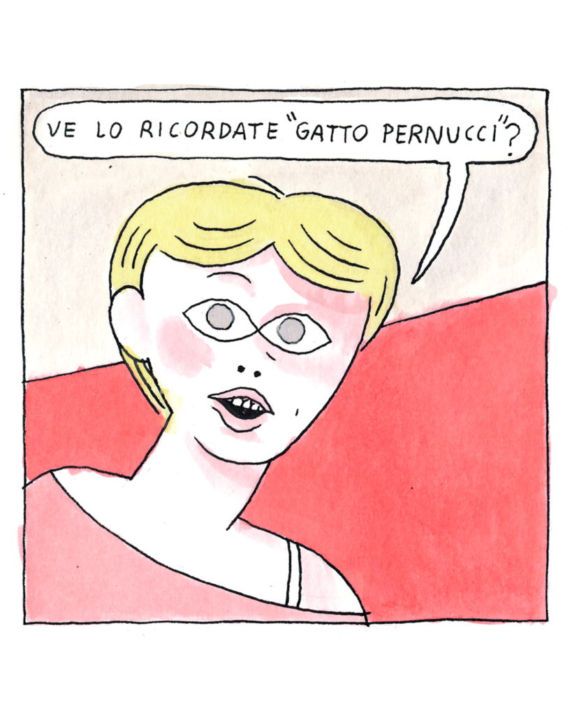 Au revoir, Gatto Pernucci