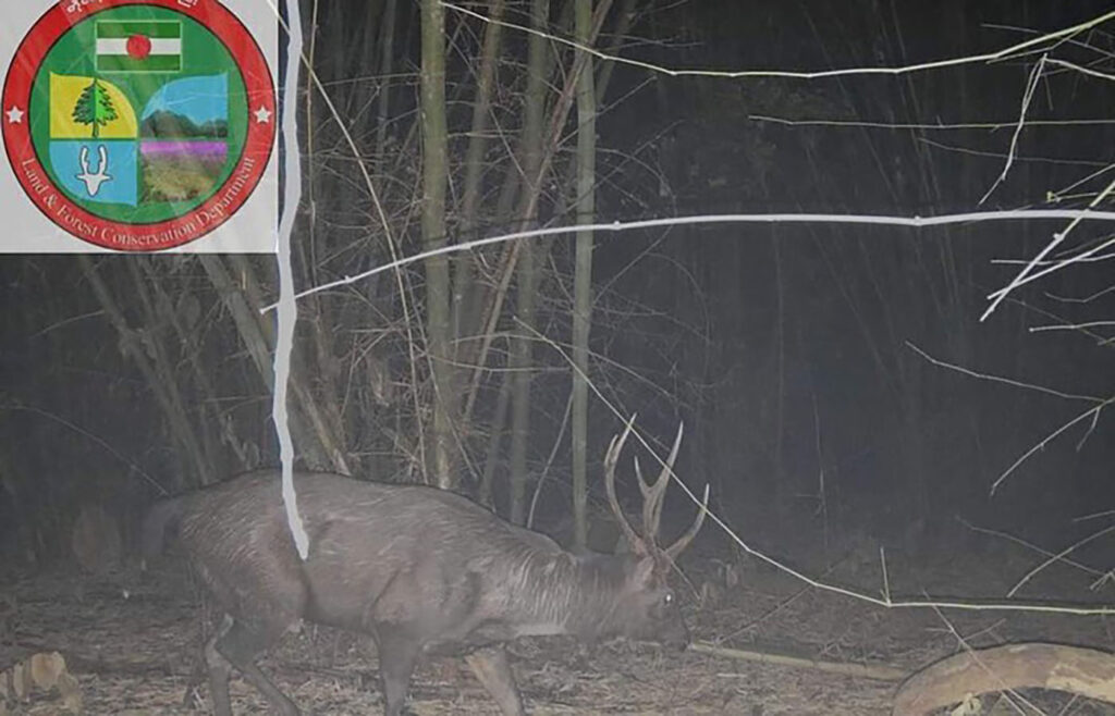 Abitare il pianeta, trasformarlo, trasformarci - 