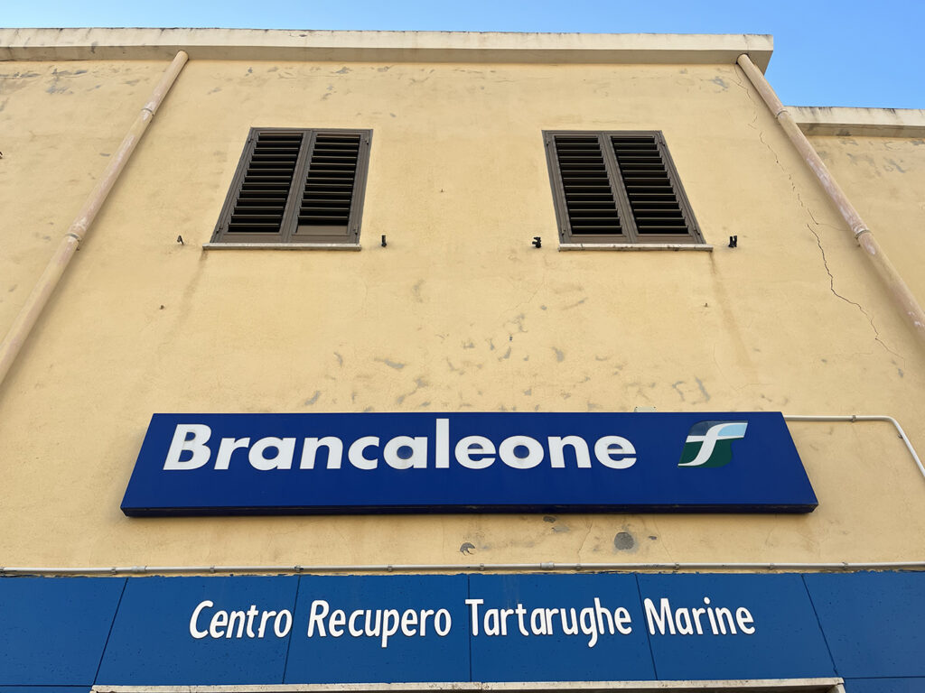 A Brancaleone si parla di letteratura tra gli ulivi e il mare - 