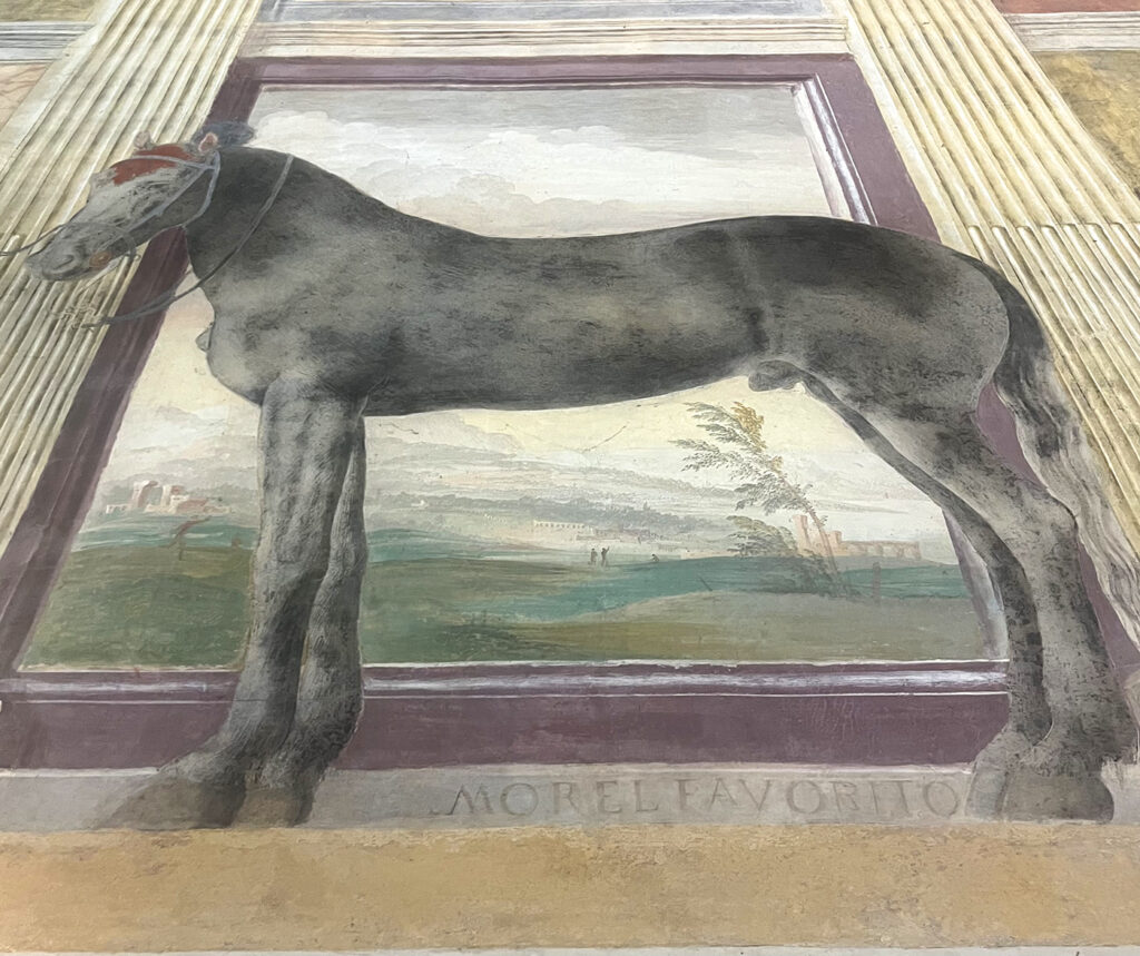 A Mantova, un giorno ideale per i pesci-sbrisolona - Il cavallo Morel nell'affresco di Giulio Romano.