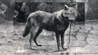 Newsletter Cristaldi