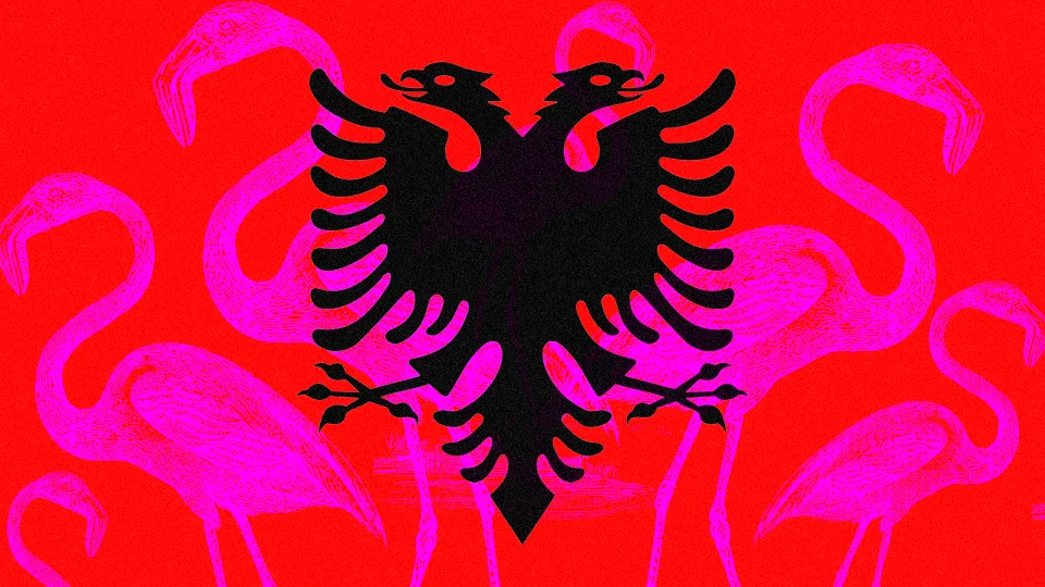 Giuzio Cover