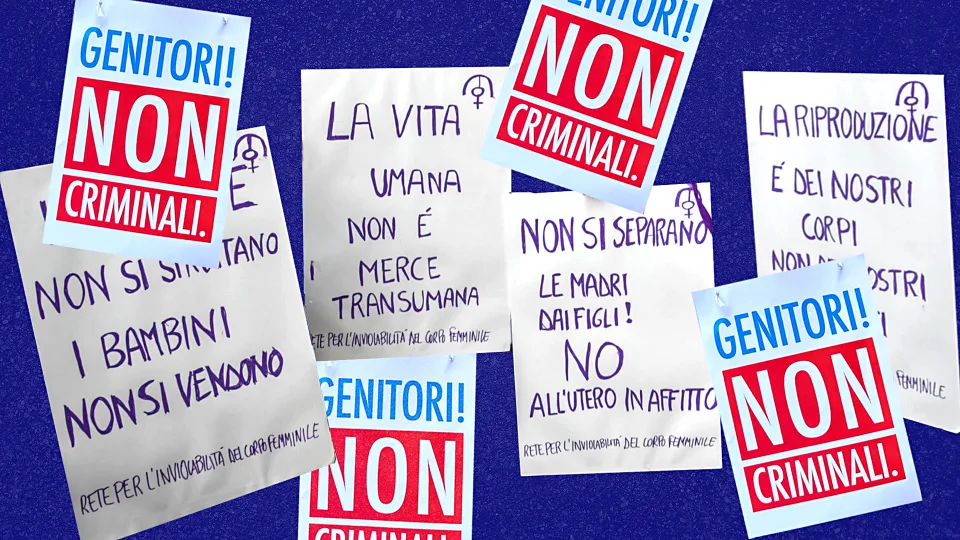 Fallucchi Cover