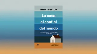 Pecere Cover