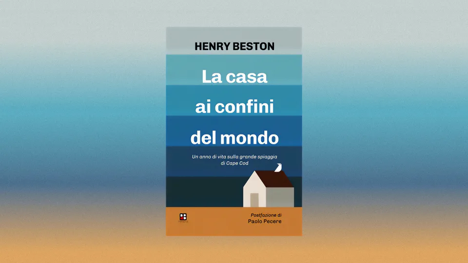 Pecere Cover